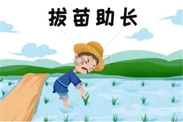 揠苗助长的故事