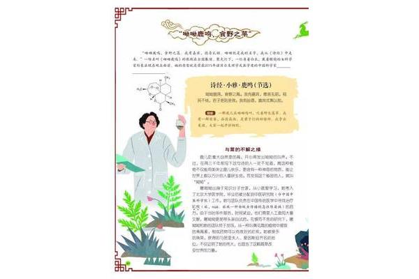 屠呦呦作文素材