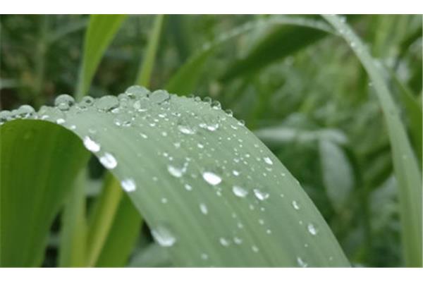 形容雨水的词语