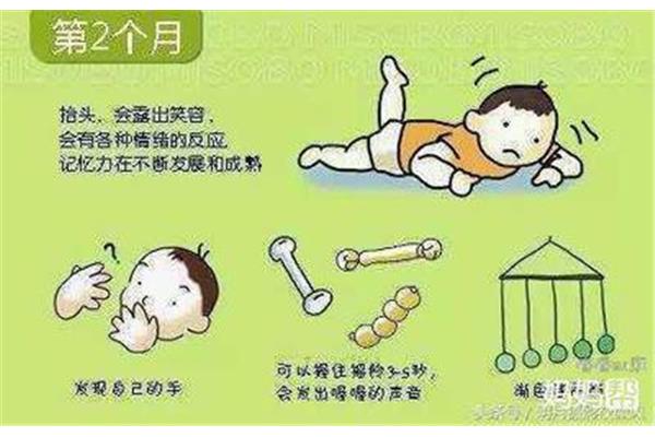 婴儿几个月会走路
