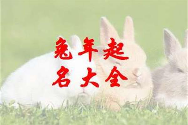 兔年宝宝取名