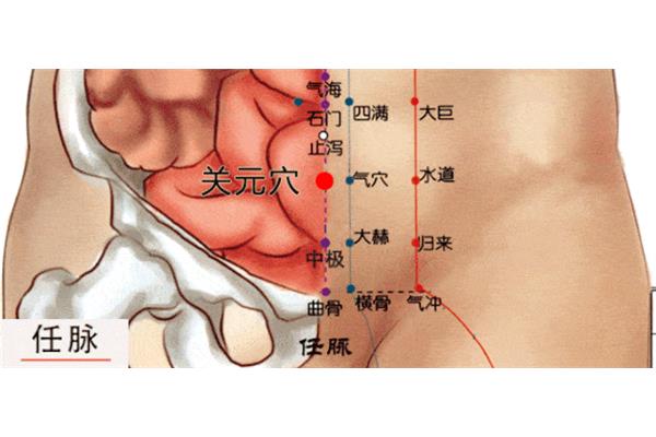 冲脉循行路线