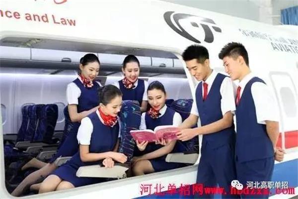 空中乘务专业