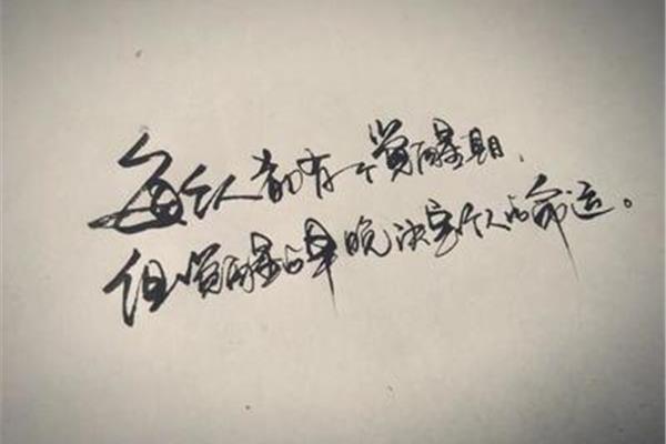 看淡人生的句子