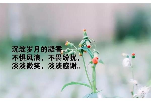 看淡人生的句子