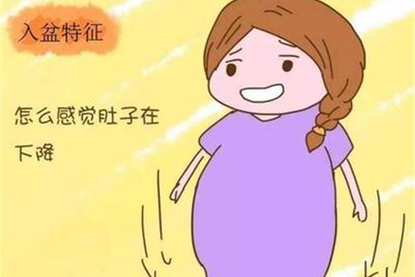 怀孕了有什么特征