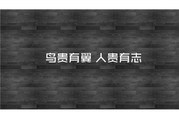 午安的暖心句子