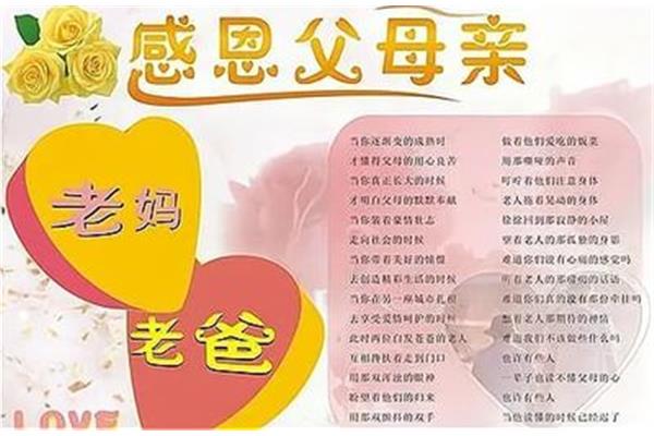 感恩社会的句子