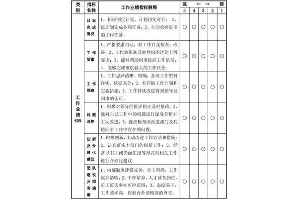 工作业绩自我评价
