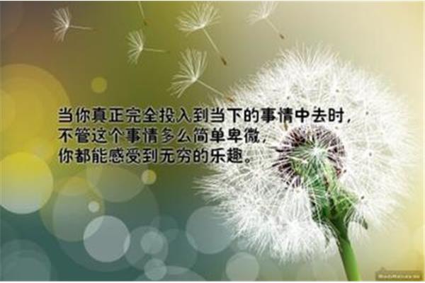 八个字的励志句子
