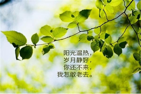 八个字的励志句子
