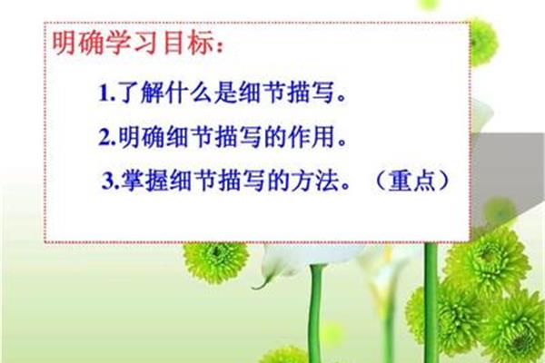 什么是描写方法