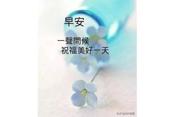 午安的暖心句子