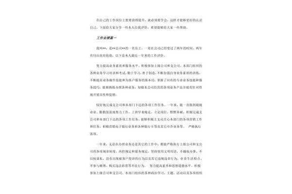 工作业绩自我评价