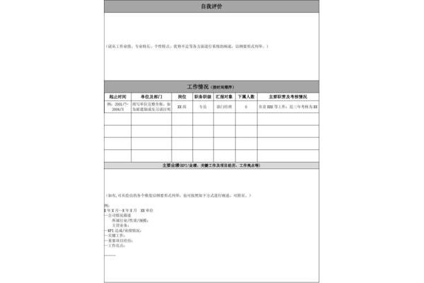 工作业绩自我评价