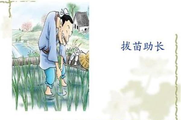 揠苗助长的故事