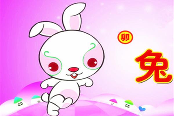 兔年宝宝取名
