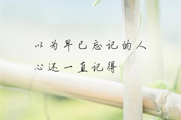 关心人的话