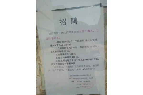 招聘内容怎么写