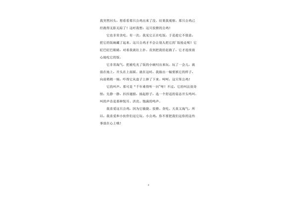 大公鸡的作文