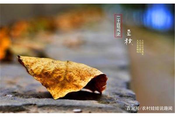 关于秋天的俗语