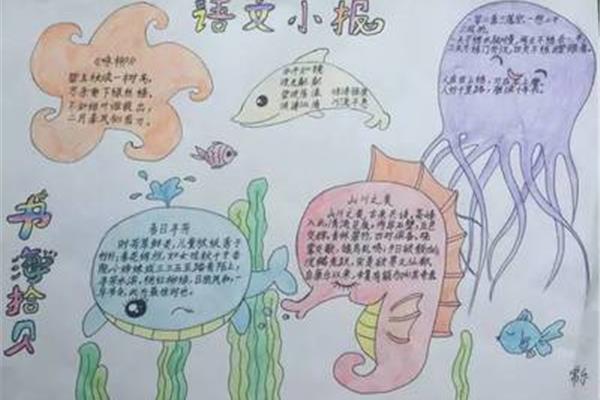 三年级语文手抄报