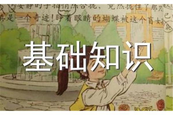 关于速度的成语