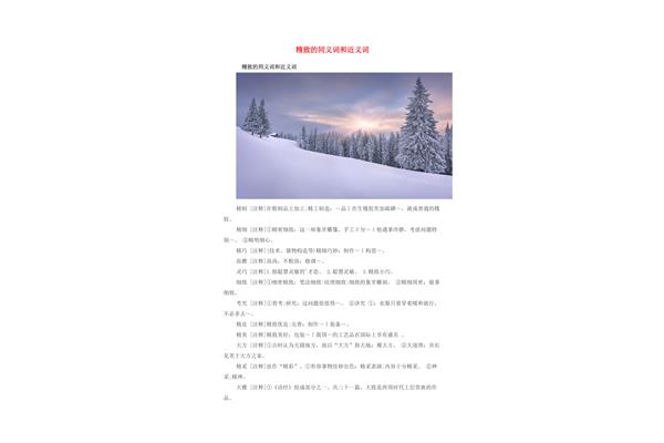 精致的近义词