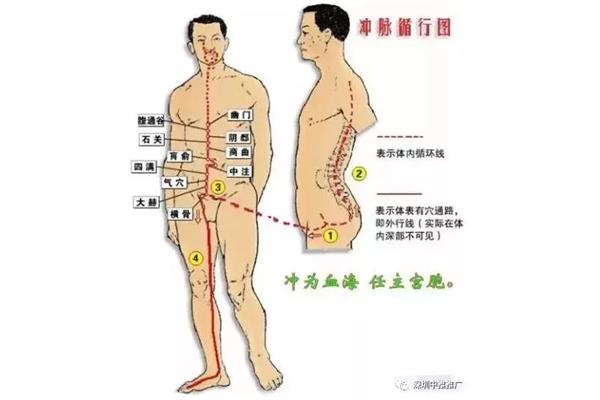 冲脉循行路线