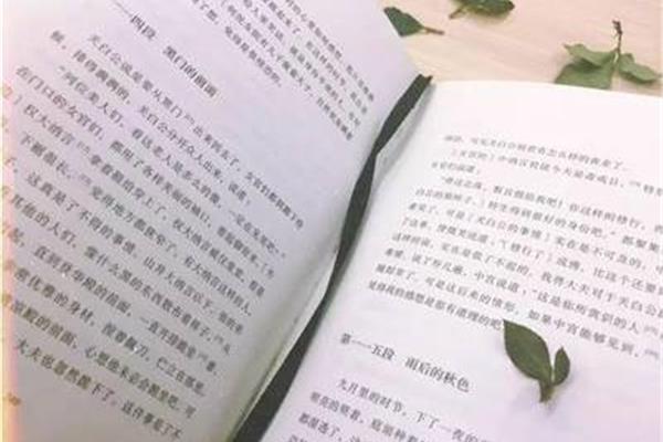 小确幸的意思