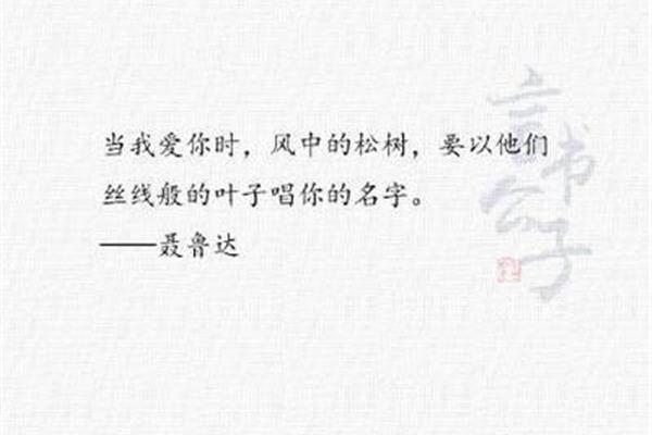我爱你的诗句