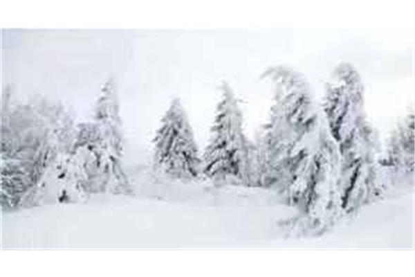 冬天雪景作文