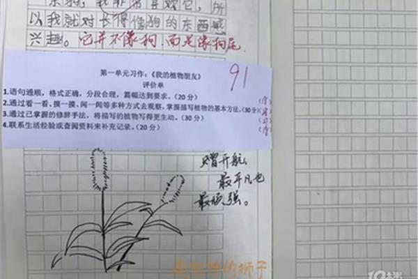 我喜欢画画作文
