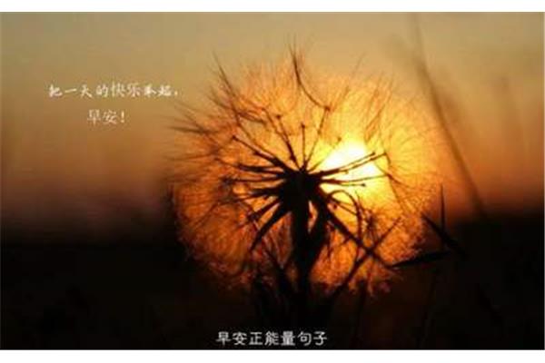 生活感悟的句子