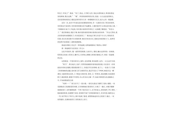 那一种温暖作文