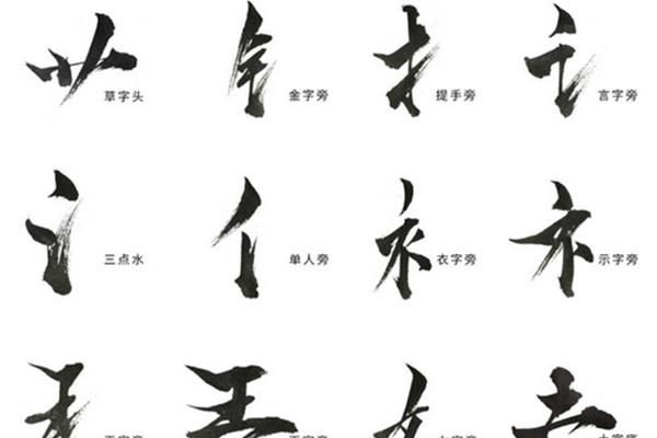 提手旁有什么字