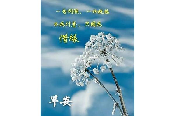 早上好的唯美句子
