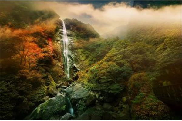 什么光山色