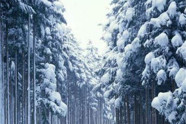 冬天雪景作文
