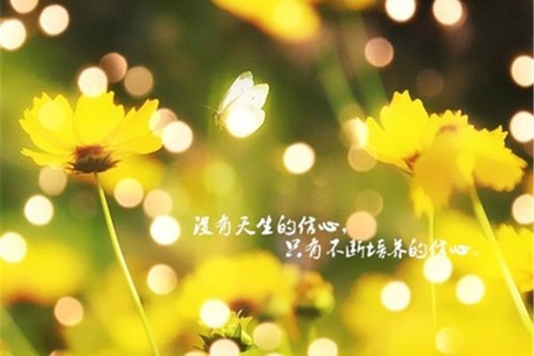 生活感悟的句子