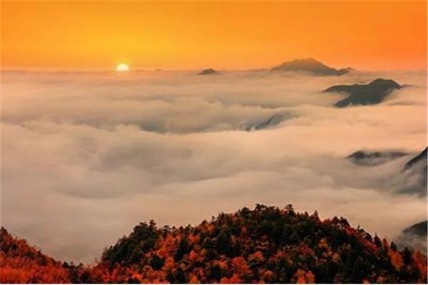 什么光山色