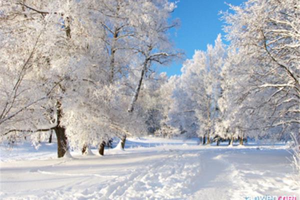 冬天雪景作文