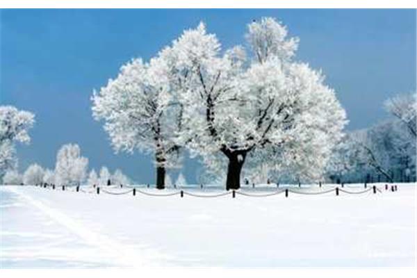 冬天雪景作文