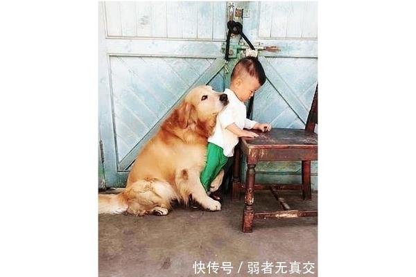 什么让我感动