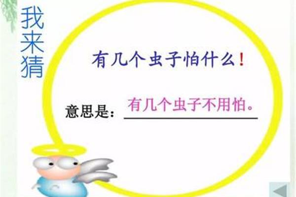 有几个虫子怕什么