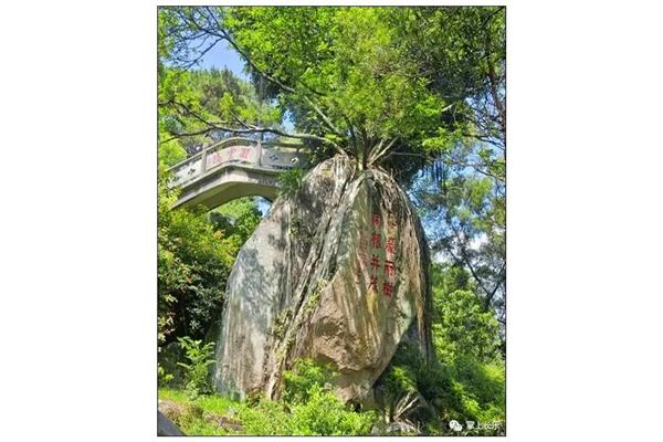 猴屿洞天岩
