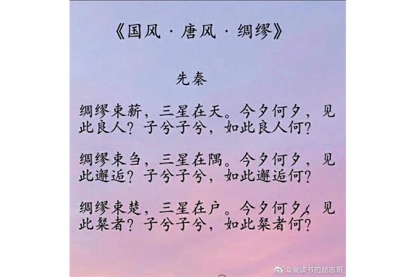 我爱你的诗句