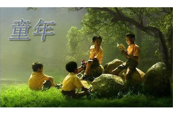 童年难忘的事
