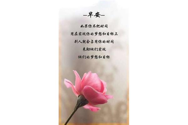 早上好的唯美句子