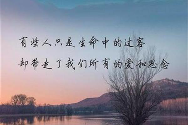时光如白驹过隙